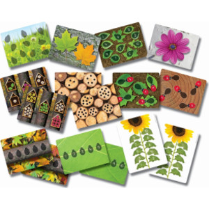 Ladybugs Early Number Card, Pack of 16