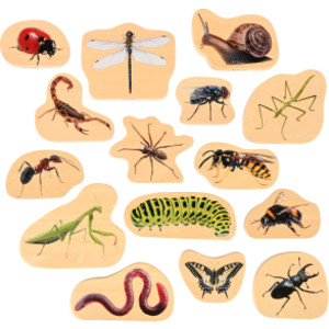 Wooden Minibeast Blocks - Set of 15
