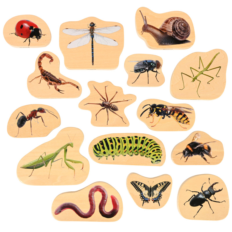 Wooden Minibeast Blocks - Set of 15