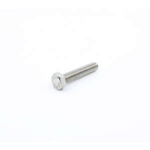 Screw M5X25 Uni 5739 A2 Te