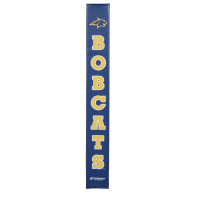 Montana State Bobcats thumbnail 2