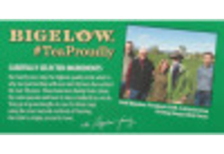 Bigelow Mint Medley Herbal Tea bag in foil overwrap