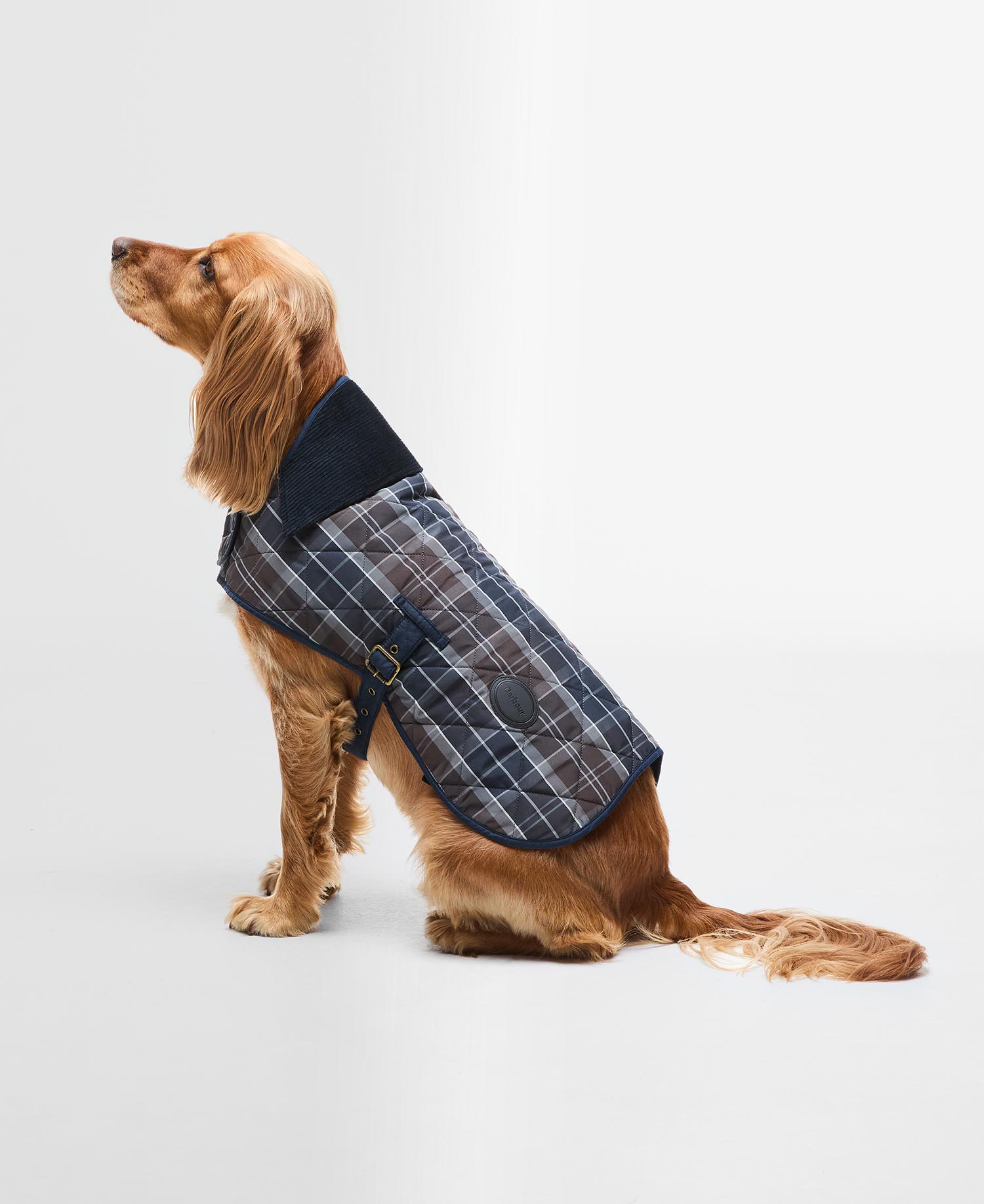 Cappotto per cani Tartan image number 0