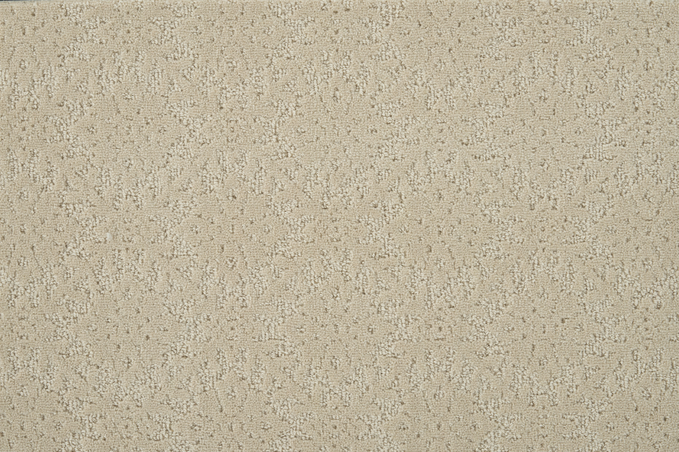 color-rug1