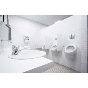 Clorox,  Urine Remover for Stains and Odors,  32 fl oz Bottle