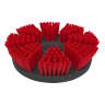 Brush Medium Duty