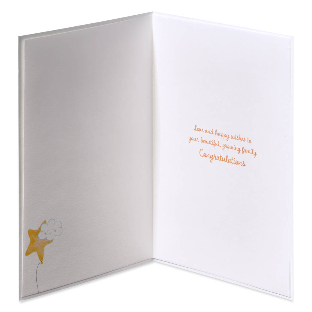 Growing Family New Baby Greeting Card