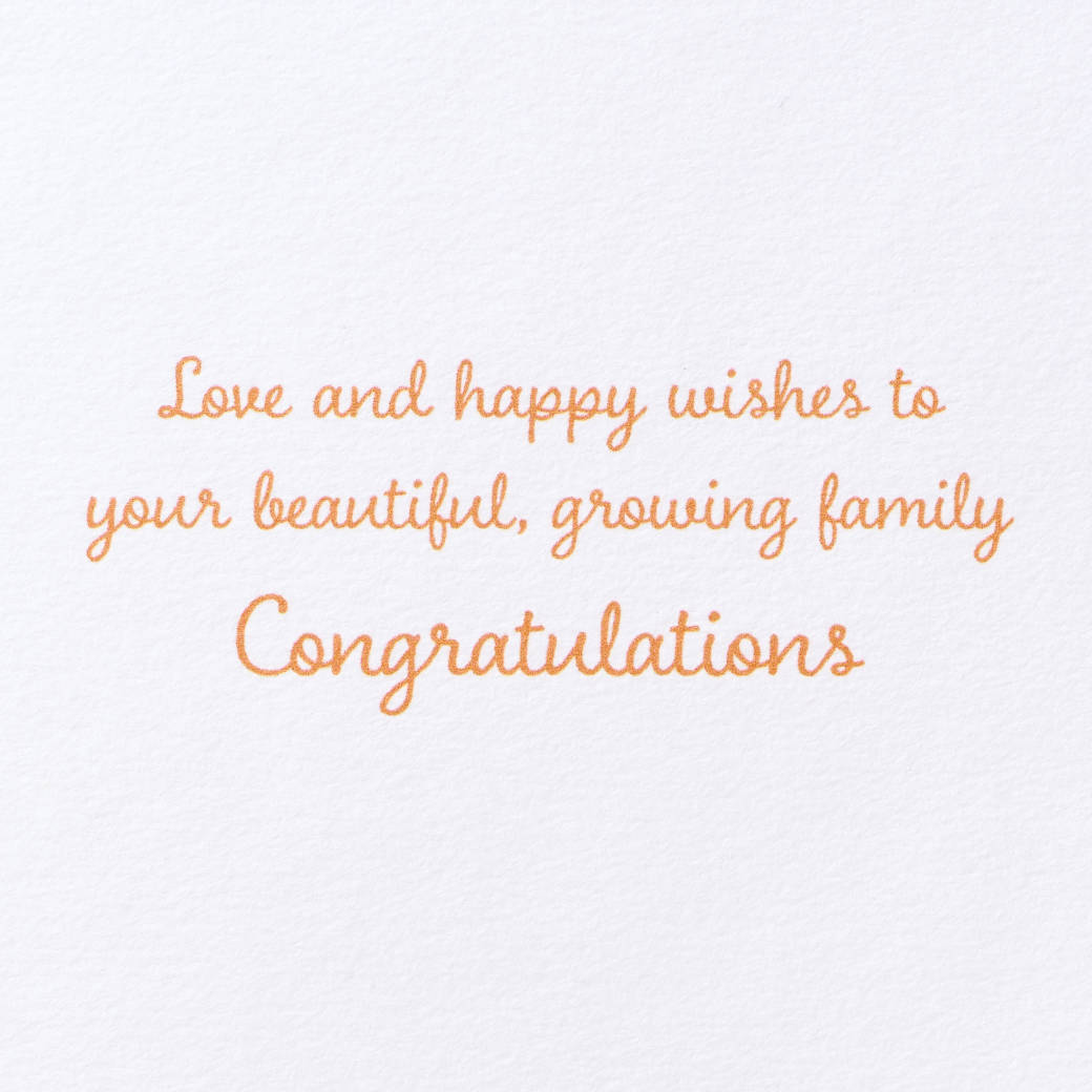 Growing Family New Baby Greeting Card