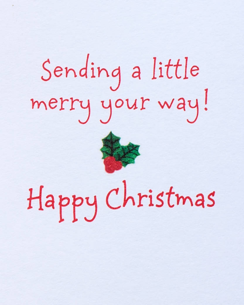 Sending a Little Merry Your Way Christmas Greeting Card 2