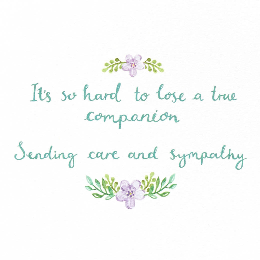 A True Companion Pet Sympathy Greeting Card Image 3