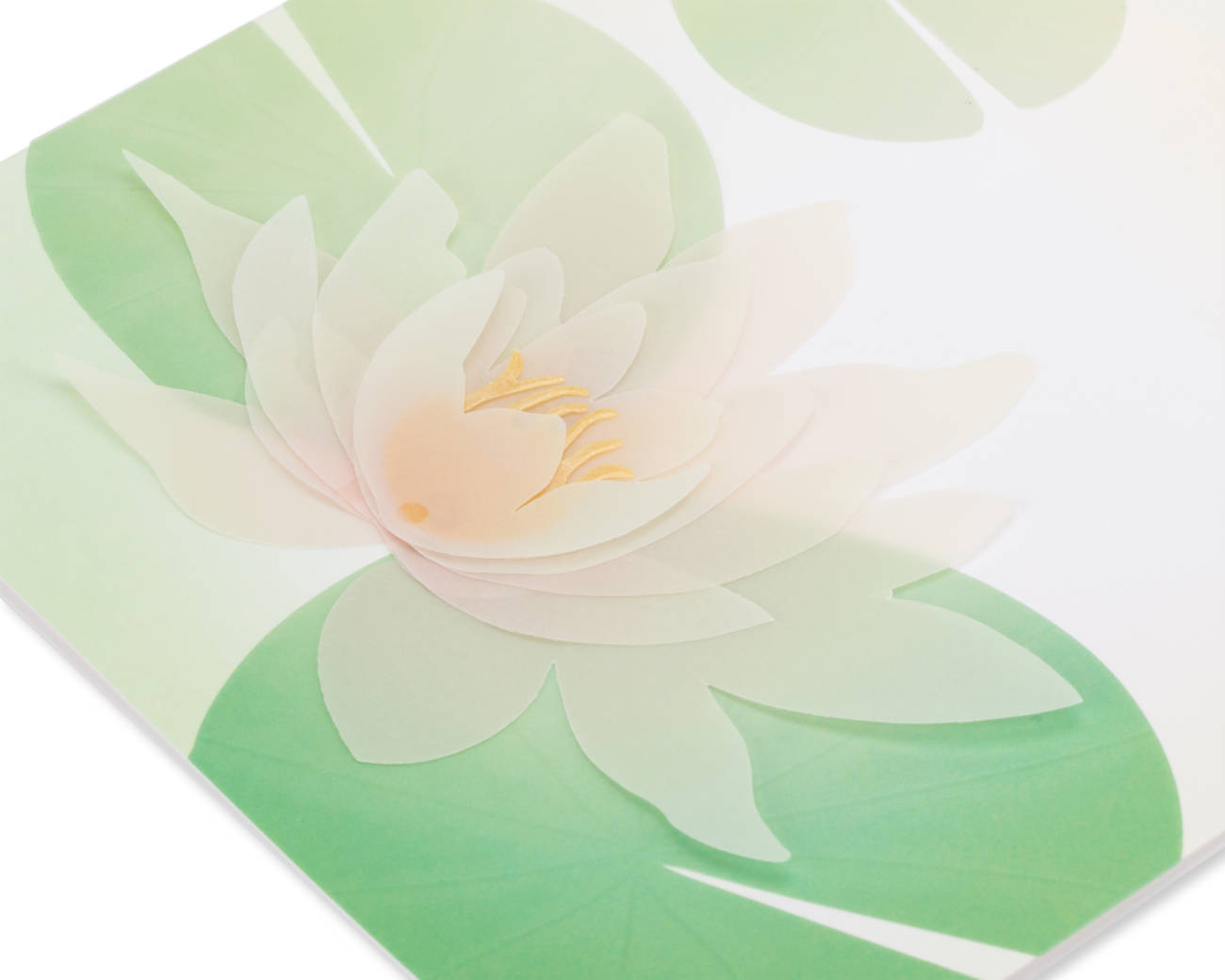 Transparent Lotus Flower Sympathy Greeting Card Image 2