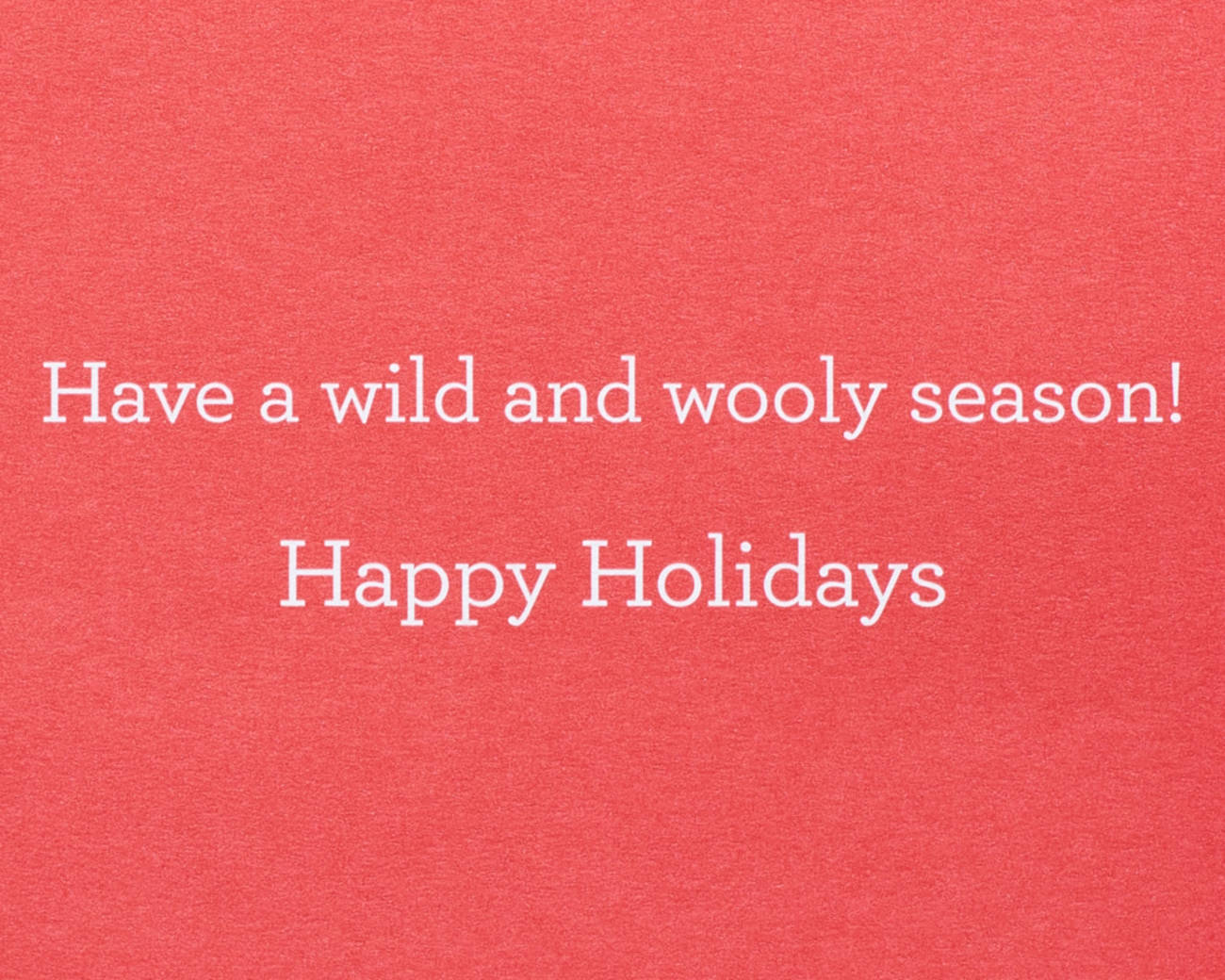 Wild and Wooly Holiday Greeting Card Image 5