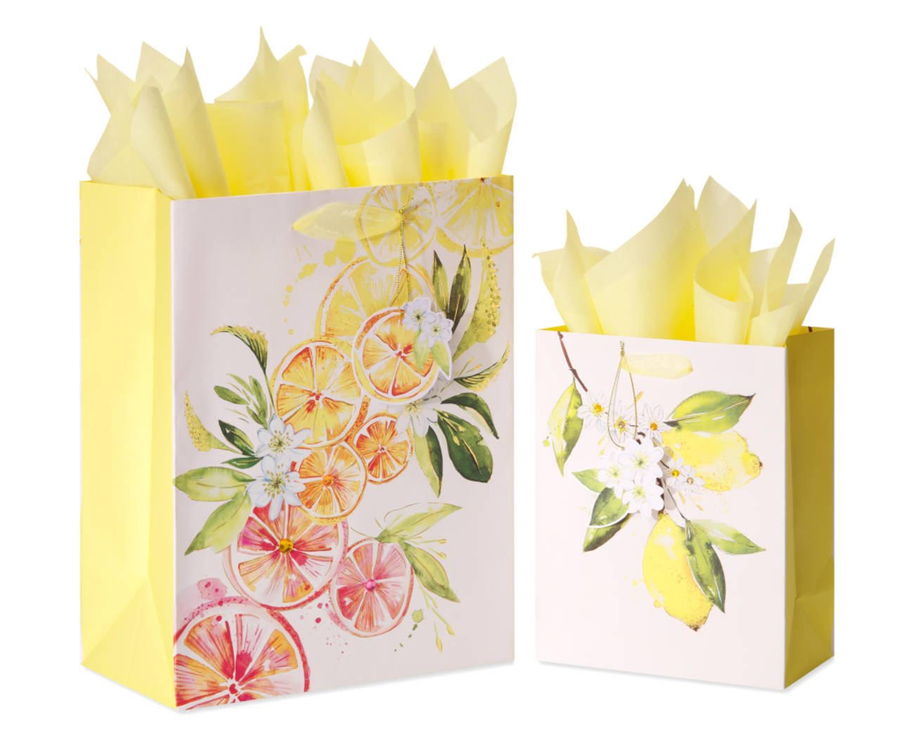 Citrus Gift Bags with Tissue Paper 2 Bags 8-Sheets