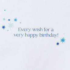 Every Wish Birthday Greeting Card 