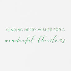 Merry Wishes Christmas Boxed Cards with Envelopes - Designed by Bella Pilar, 16-Count