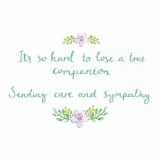 A True Companion Pet Sympathy Greeting Card Image 3