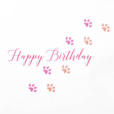 Cat & Flowers Blank Cat Birthday Greeting Card - Designed by Bella Pilar Image 3