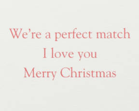 A Perfect Match Christmas Greeting Card 4