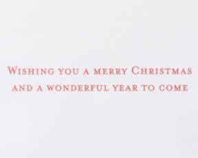 Wonderful Year to Come Christmas Greeting Card 5