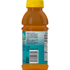 Straightbackimage for V8 Splash® Mango Peach Flavored Juice Beverage, 12 fl oz Bottle (12 Pack)