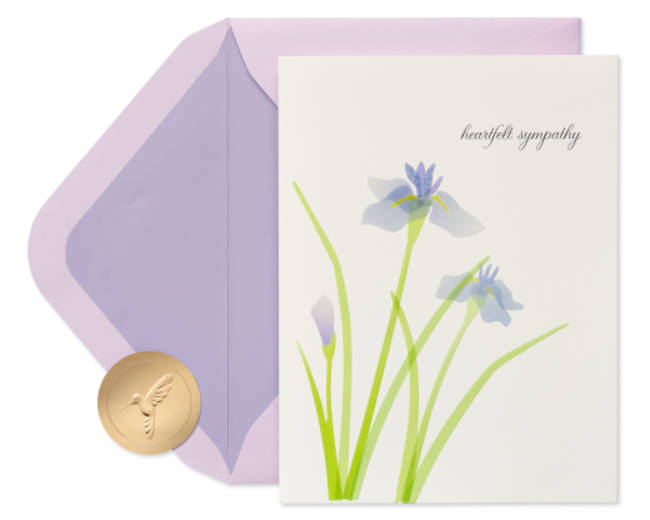 Our Deepest Sympathy and Our Love Sympathy Greeting Card