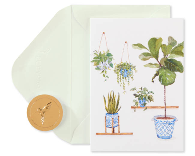 Indoor Garden Boxed Blank Note Cards with Envelopes 14-Count