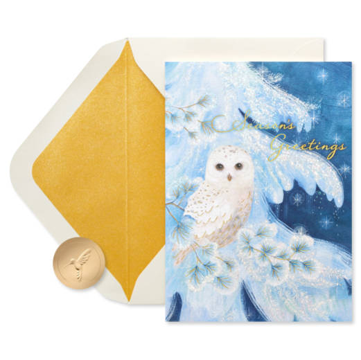 Snowy Owl Holiday Boxed Cards, 14-Count