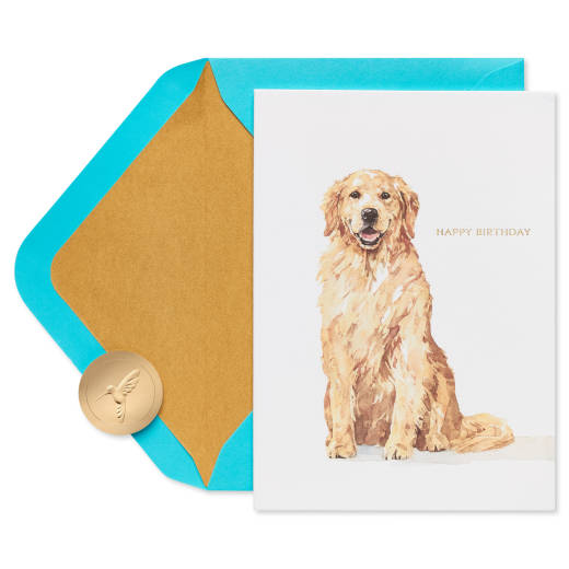 Celebrate and Enjoy Dog Birthday Greeting Card