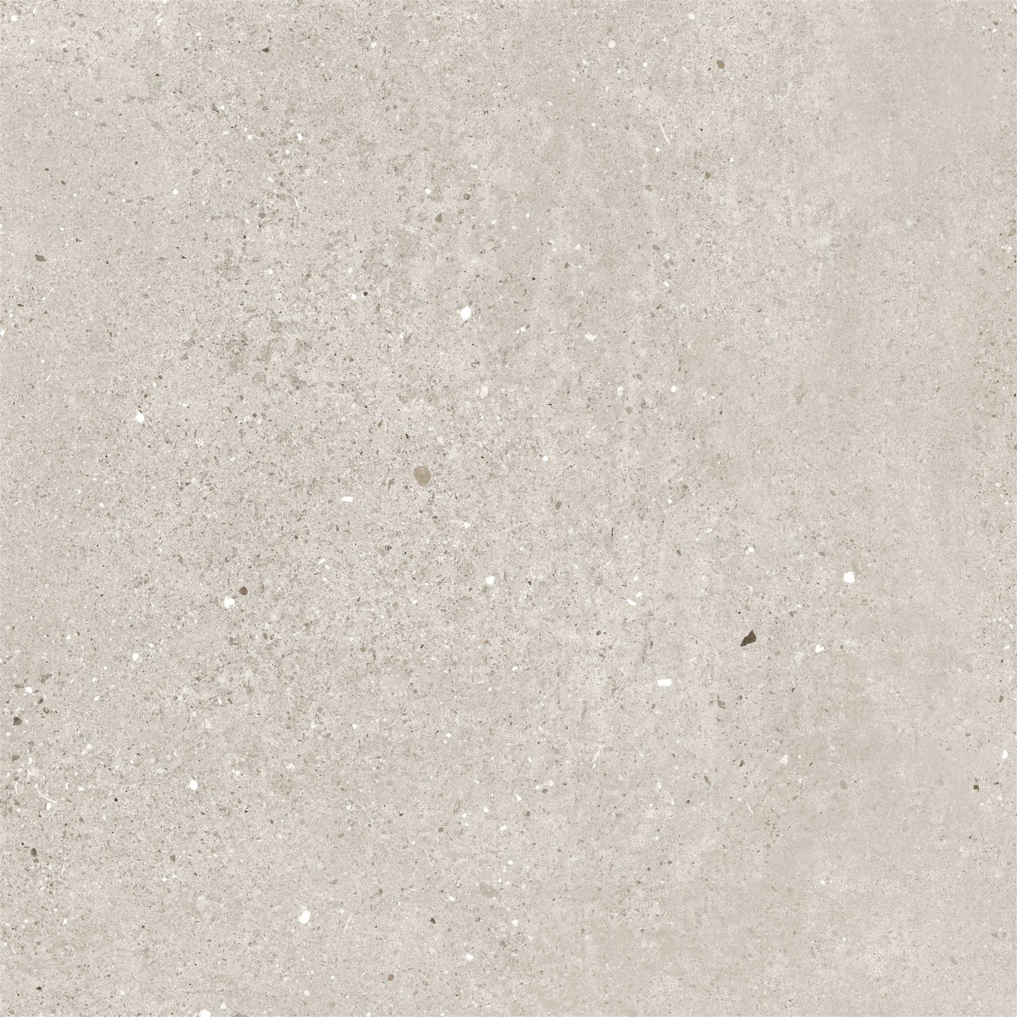 60X60 FLAKEART L.GREY MATT R10B 7R