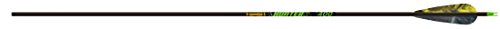 Gold Tip Hunter XT 500 Arrow w/4&quot; Feathers 6pk HXT500F6