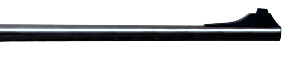 Sauer 202 Elegance .30-06