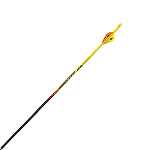 Black Eagle 17/64&quot; Factory Fletched Arrow Renegade Fletched 6pk .005&quot;-400 176