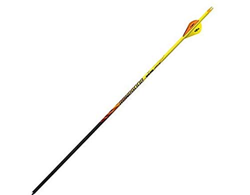 Black Eagle 17/64&quot; Factory Fletched Arrow Renegade Fletched 6pk .005&quot;-300 174