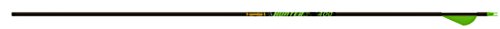 Gold Tip Hunter XT 250 Arrow w/2" Raptor Vanes 12pk HXT250A2