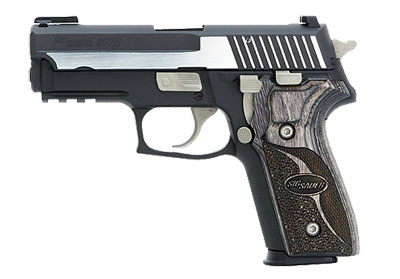 Sig Sauer P229 Equinox .40 S&W Pistol E29R-40-EQ
