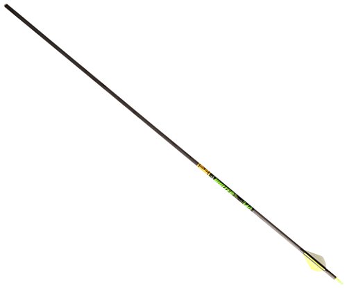 Gold Tip Hunter XT 400 Arrow w/2" Raptor Vanes 6pk HXT400A26