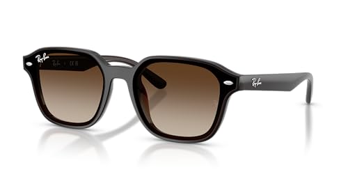 Ray-Ban  Transparent Dark Brown Gradient Brown 0RB4458D-7141365