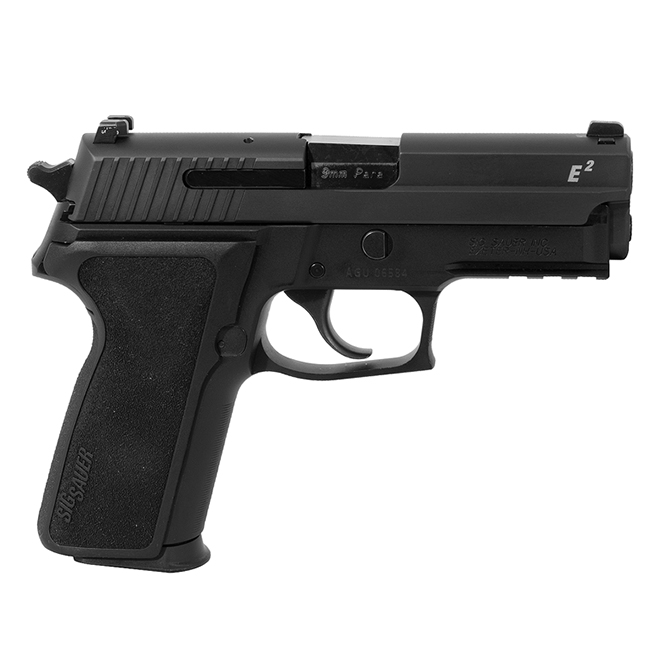 Sig Sauer P229R 9mm Pistol UA-1245