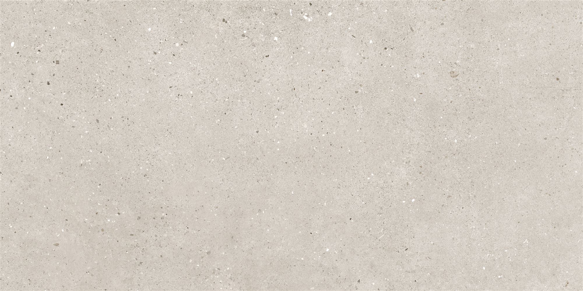 60X120 FLAKEART L.GREY MATT R10B 7R