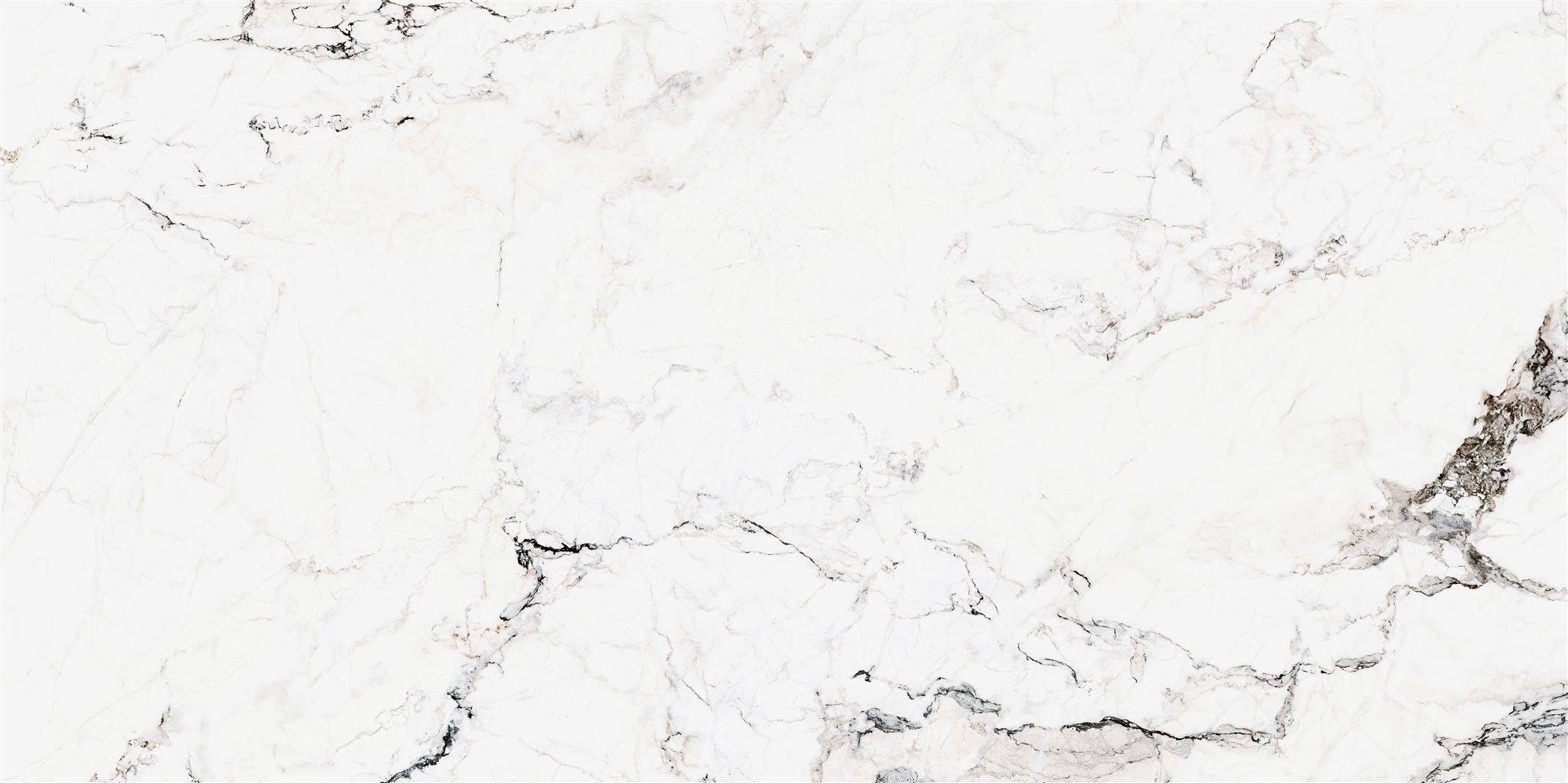 60X120 MARBLEART CAMOUFLAGE WHITE 7FLPR
