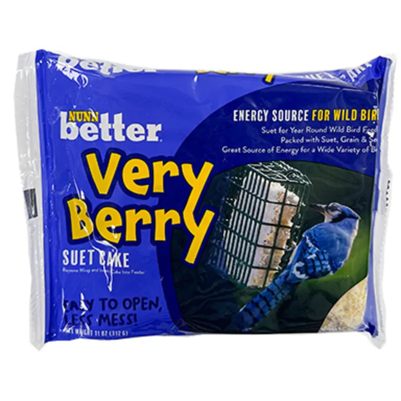 Very Berry Suet Cake