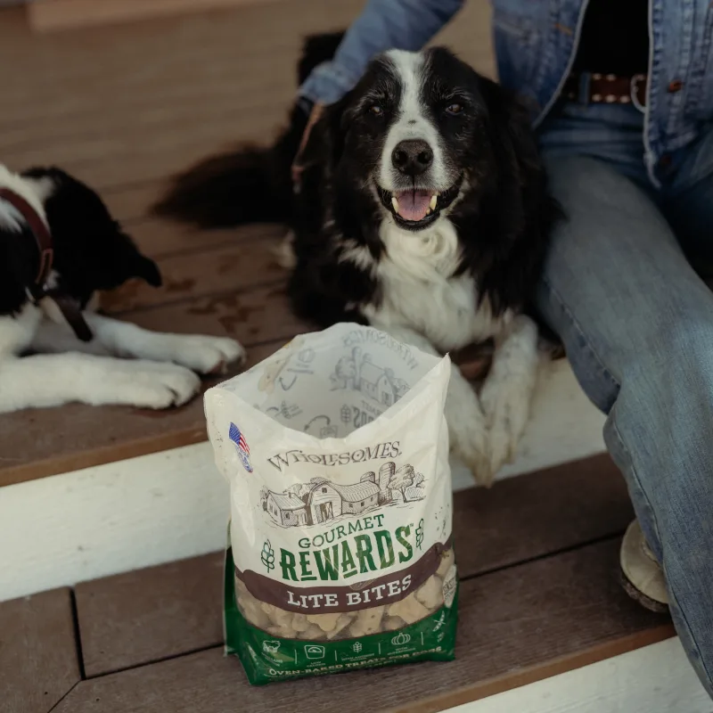 Photo of Product Bag