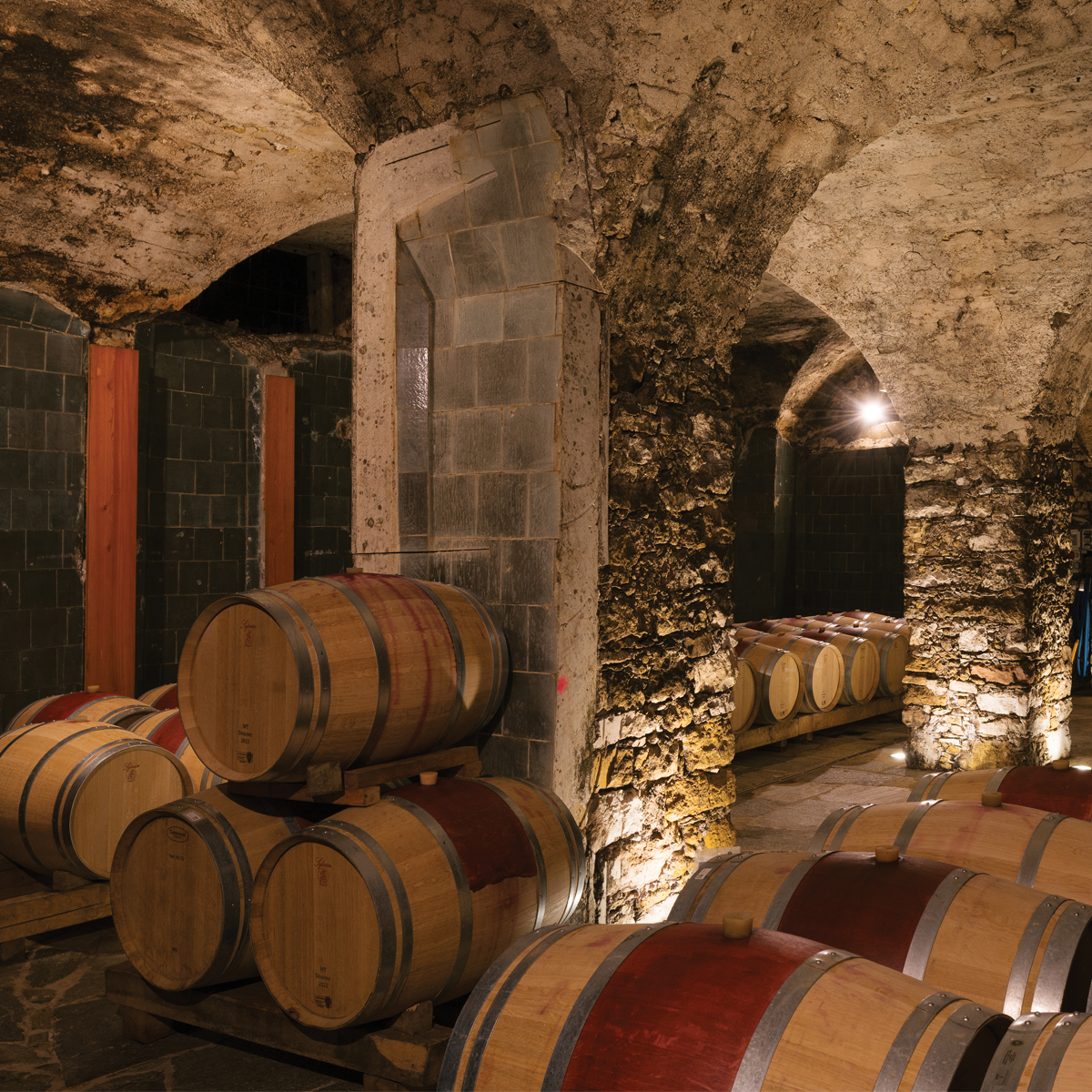 Elena Walch winery cellar