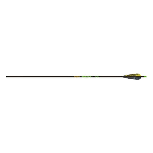 Gold Tip Hunter XT 500 Arrow w/4" Feathers 6pk HXT500F6
