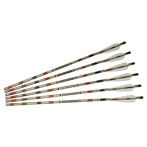 Excalibur Aluminum 20" XX75 Arrows 6pk 2219V20-6