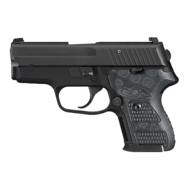 Sig Sauer P224 Extreme .40 S&W Pistol 224-40-XTM-BLKGRY-DAK