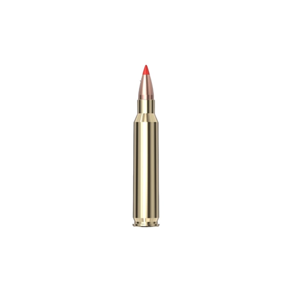 Tesmar Ammunition .223 55gr V-MAX Ammunition, Box of 20 Rounds (Hornady Projectile, Cipher Precision Brass) Tesmar 223 V-MAX