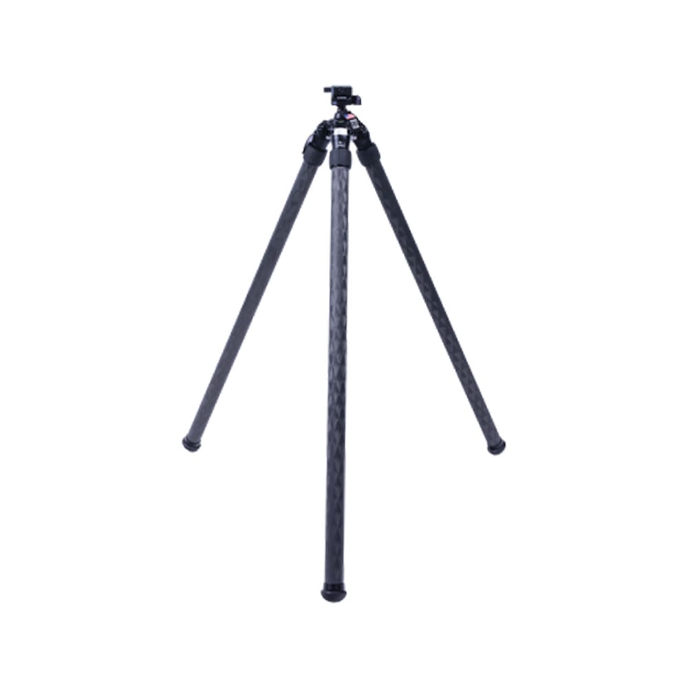 Really Right Stuff TVC-22iC Tripod-Head Package w/Anvil-30 ARC and TA-2-APF RRS-9028984