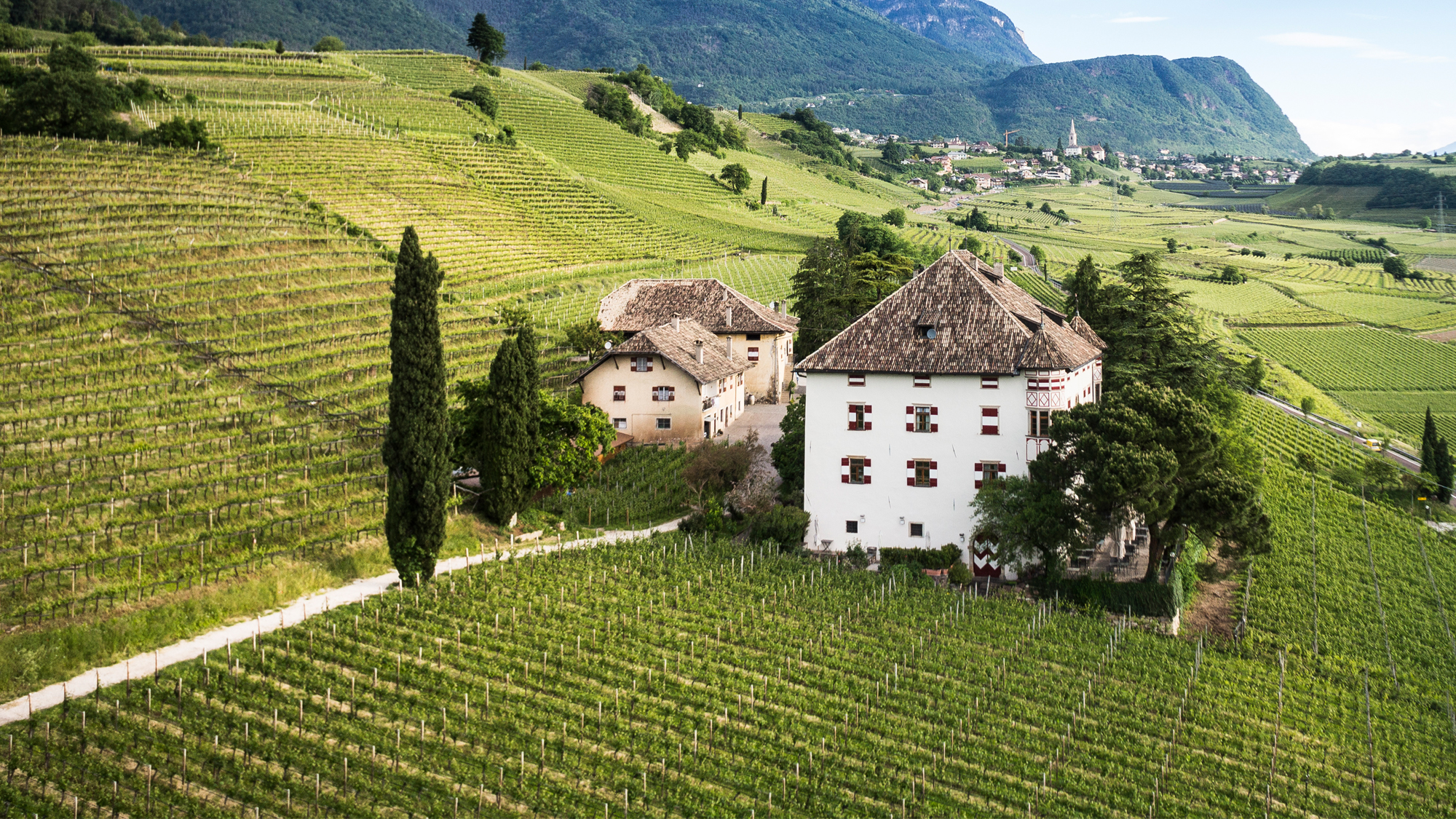 Historic home in vineyard