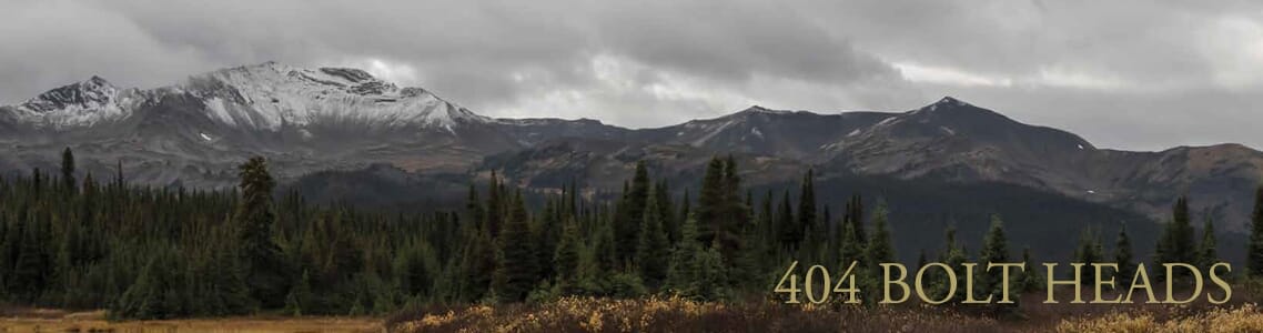 Sauer 404 Bolt Heads